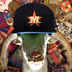 Stachestros Snapback